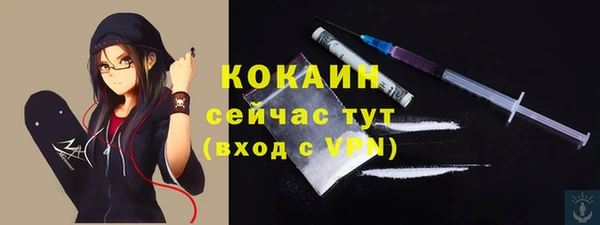 стафф Алзамай