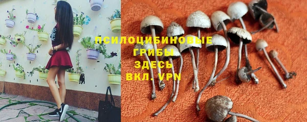 гашик Алексеевка