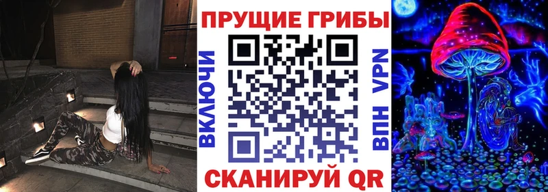 Псилоцибиновые грибы Cubensis  Тольятти 